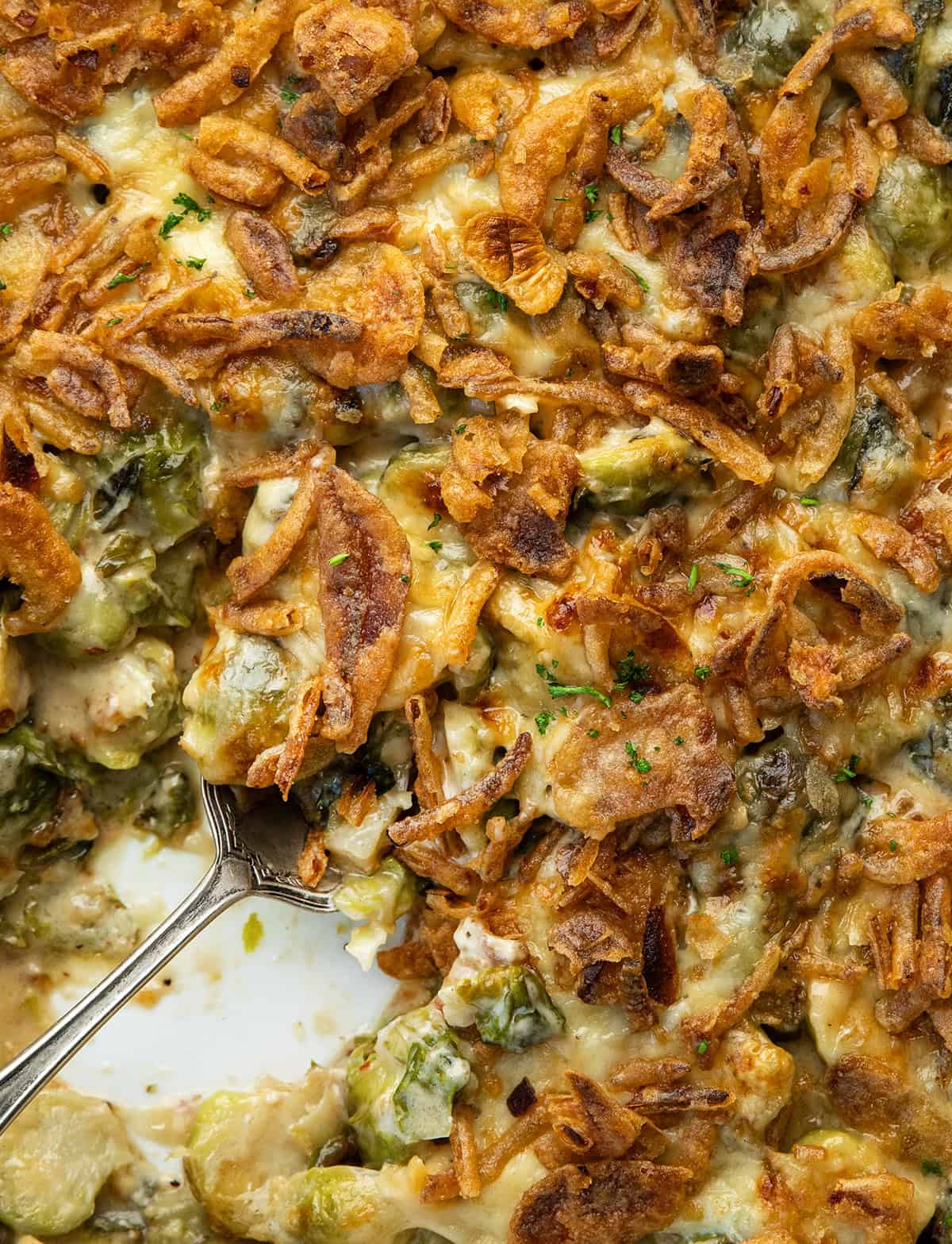 This Cheesy Brussels Sprout Casserole takes tender Brussels sprouts and coats them in a rich, creamy cheese sauce before baking them under a layer of golden, crispy onions. It’s warm, comforting, and indulgent in the best way... an easy side dish that turns a simple vegetable into something everyone will want seconds of! Close up of a spoon in Cheesy Brussels Sprout Casserole.