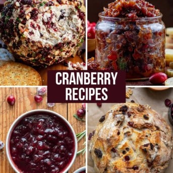 Image of Cranberry Pecan Cheeseball, cranberry bacon jam, homemade cranberry sauce, and cranberry walnut bread.