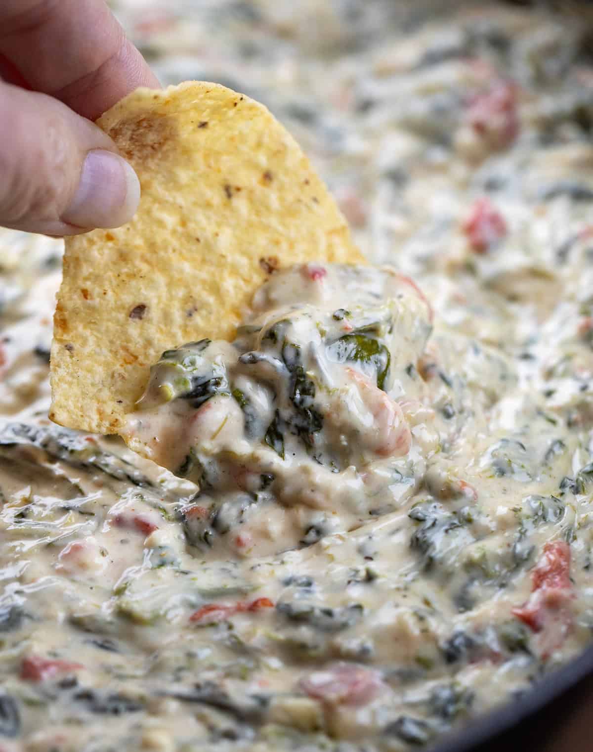 Dipping a tortilla chip into a skillet of Spinach Queso Dip.