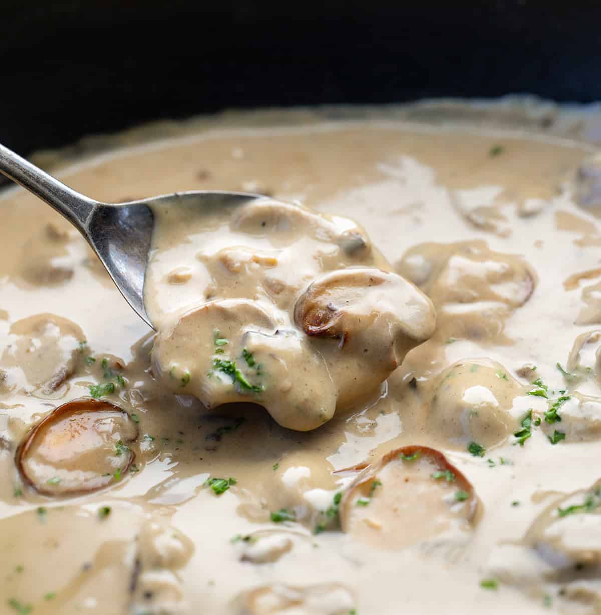 This Mushroom Shallot Gravy is easy, flavorful, and perfect for drizzling over roasted meats, mashed potatoes, or biscuits! Spoonful of Mushroom Shallot Gravy very close up.