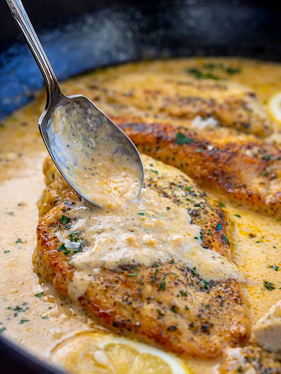 These Creamy Garlic Chicken Breasts are juicy, tender, and smothered in a rich, cheesy garlic sauce. Perfect over rice, pasta, or mashed potatoes for an easy weeknight or special dinner! Spooning sauce over Garlic Chicken Breasts.