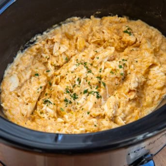 Crockpot filled with Chicken and Rice close up.