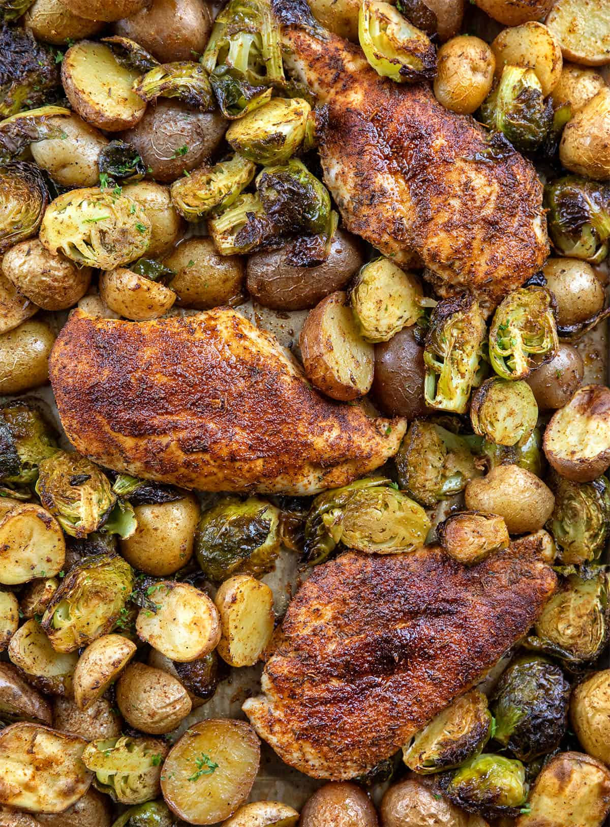 Close up of Blackened Chicken and Brussels Sprouts Close up of Blackened Chicken and Brussels Sprouts.