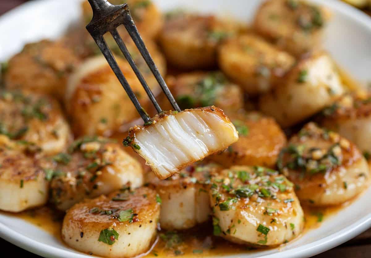 Fork with a Cowboy Butter Scallop that has a bite taken out of it Fork holding a Cowboy Butter Scallop above a plate of them.