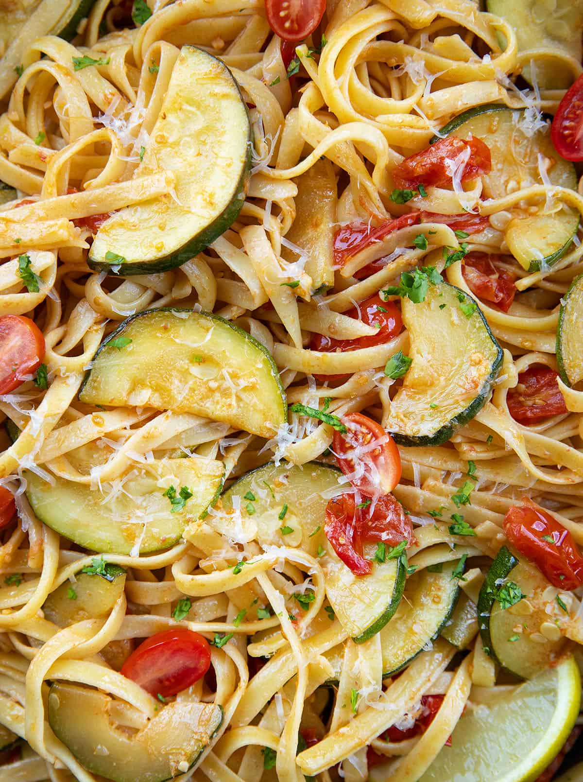 Close up of Zucchini & Blistered Tomato Fettuccine Close up of Zucchini & Blistered Tomato Fettuccine.