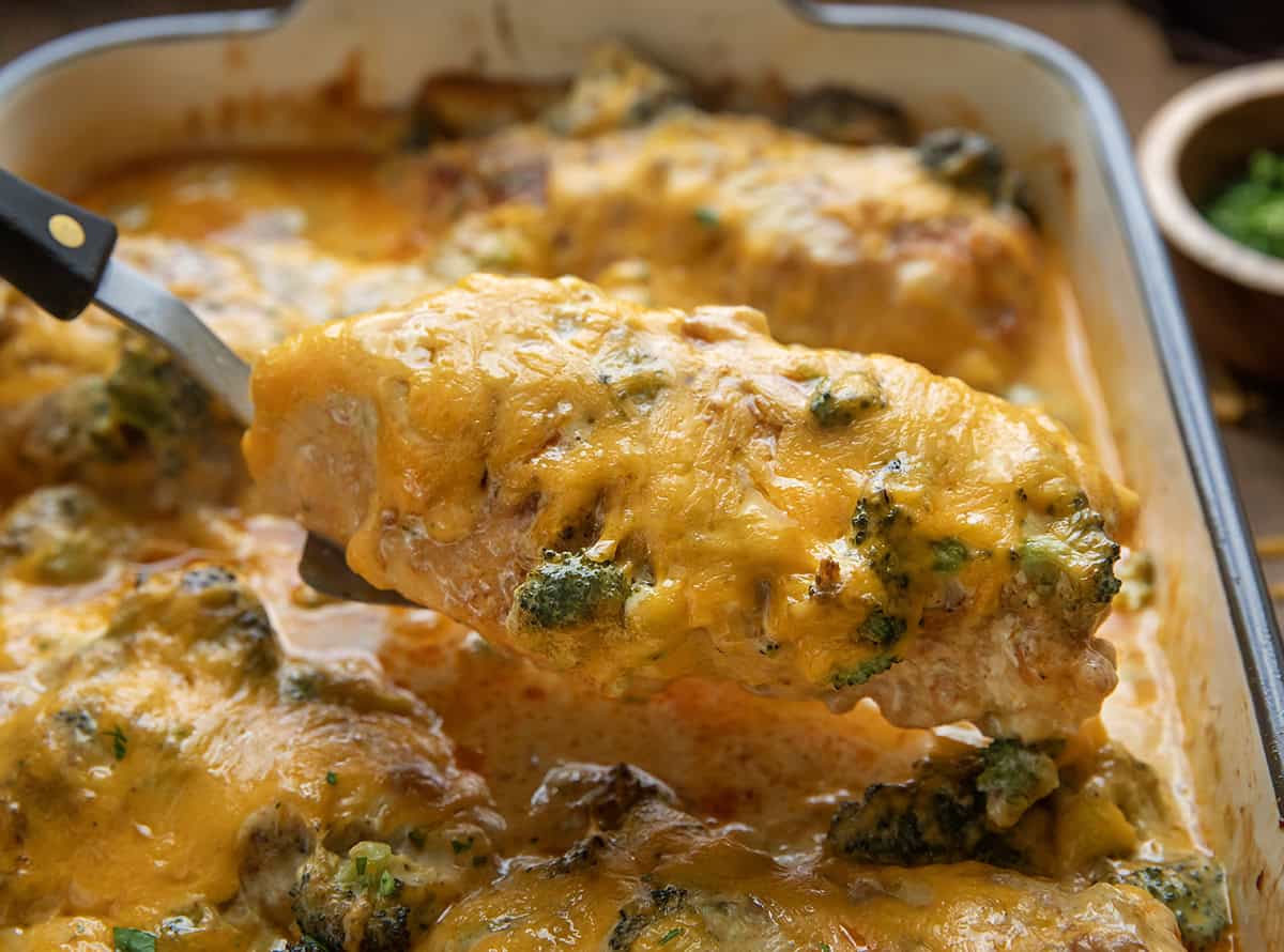 Picking up a piece of Broccoli Cheddar Chicken Casserole from the pan Picking up a piece of Broccoli Cheddar Chicken Casserole from the pan.