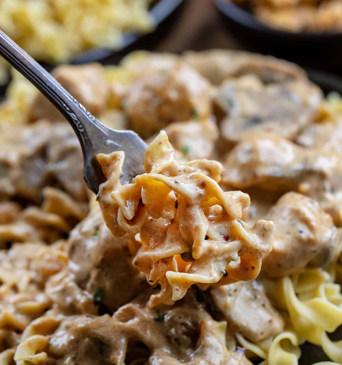 Forkful of Cowboy Chicken Stroganoff very close up Forkful of Cowboy Chicken Stroganoff very close up.