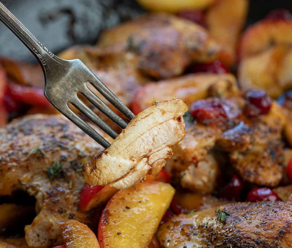 Cut piece of Cranberry Apple Orchard Chicken being held on a fork Cut piece of Cranberry Apple Orchard Chicken being held on a fork.