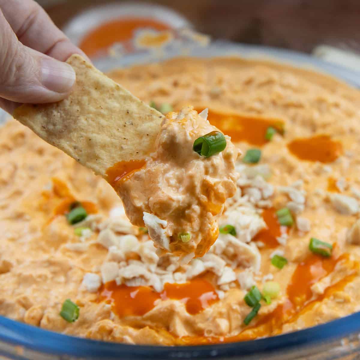 Hand holding a chip above Slow Cooker Buffalo Chicken Dip Hand holding a chip above Slow Cooker Buffalo Chicken Dip.